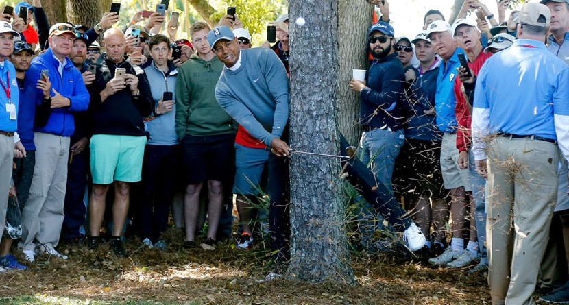 Tiger Makes Incredible Save, Nearly Aces Next Hole