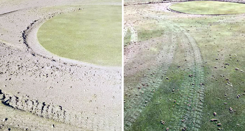 Free Golf For Finding Course Vandal