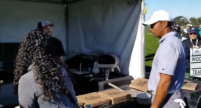 Tiger Denied Slice By Local Pizza Boy