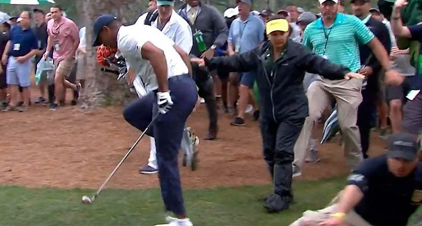 Tiger Gets Clipped By Slipping Security Guard