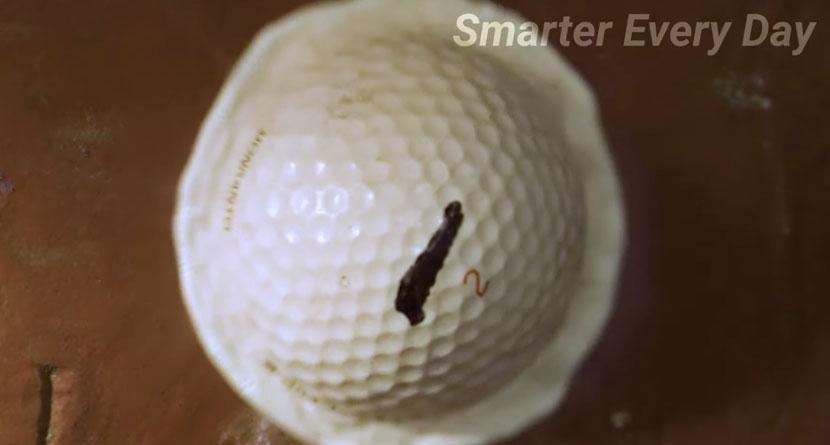 How Hard Can You Hit A Golf Ball Before It Explodes?