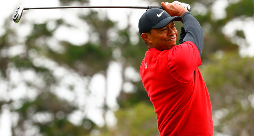 Tiger Planning Family Time, Practice Before Open