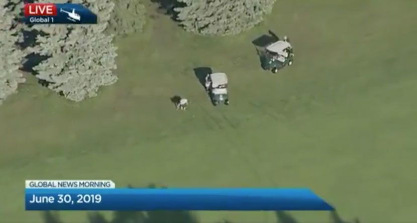 Golfer Caught Cheating By News Helicopter